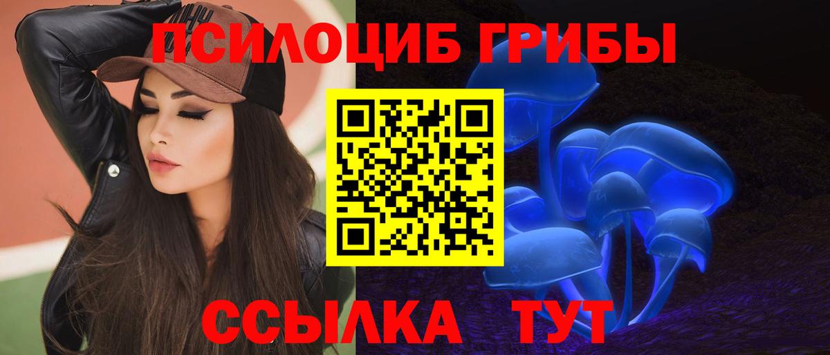 Псилоцибиновые грибы Cubensis  Рубцовск 